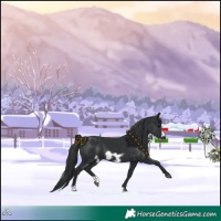 Horse Color:Black Frame 