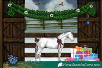 Horse Color:Liver Chestnut Frame 