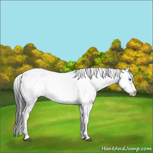 Horse Color:Black Frame 