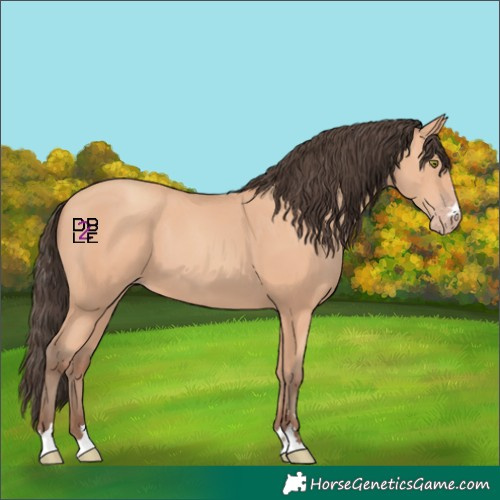Horse Color:Amber Champagne 