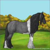 Horse Color:Blue Roan Tobiano 