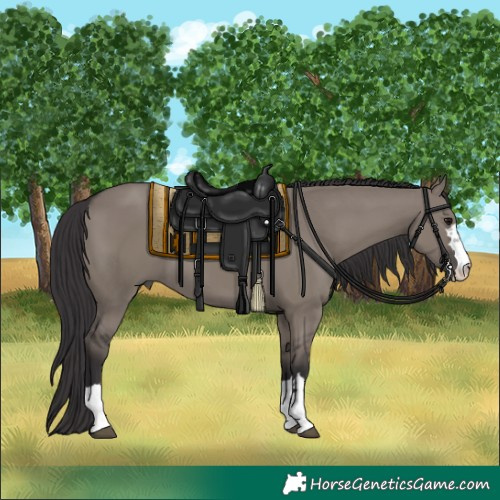 Horse Color:Smoky Grullo