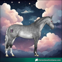Horse Color:Silver Bay Chinchilla