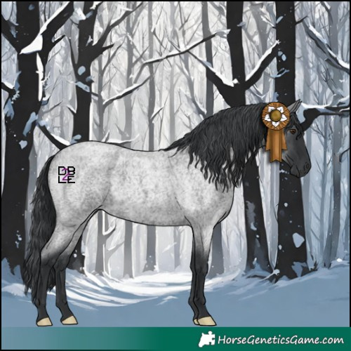 Horse Color:Blue Chinchilla Roan 