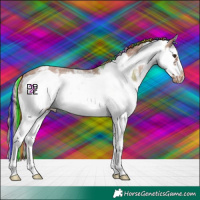 Horse Color:Painted Chestnut Sabino Splash Frame Appaloosa 