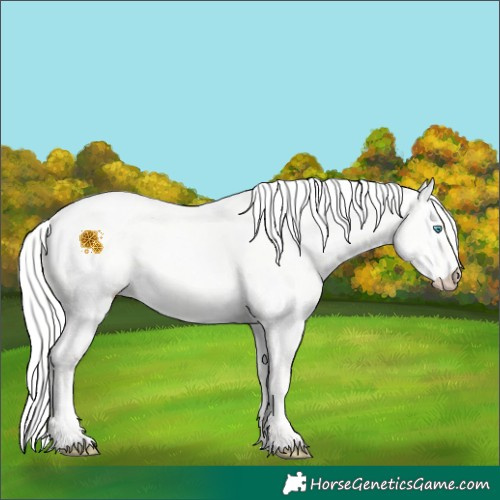 Horse Color:Silver Perlino Dun 