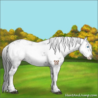 Horse Color:Black Frame 