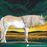 Horse Color:White Spotted Chocolate Palomino Dun Splash 