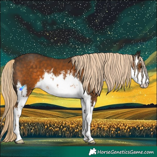 Horse Color:White Spotted Chocolate Palomino 