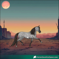 Horse Color:Liver Red Roan Frame