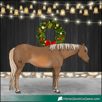 Horse Color:Chocolate Palomino 