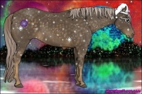 Horse Color:Chocolate Palomino