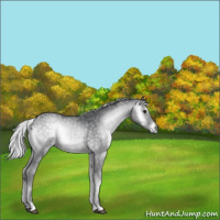 Horse Color:Silver Blue Onyx Chinchilla 
