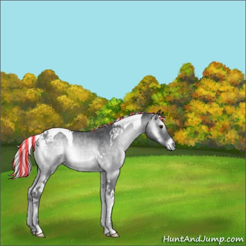 Horse Color:Painted Silver Blue Onyx Chinchilla Tobiano