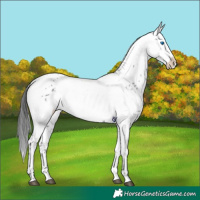Horse Color:Black Frame 