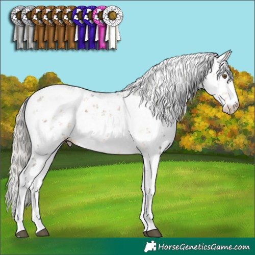 Horse Color:Silver Buckskin Dun Mushroom Sabino 