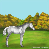 Horse Color:Silver Blue Onyx Chinchilla Tobiano 