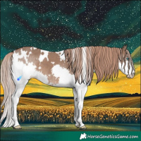 Horse Color:White Spotted Liver Red Dun Splash 