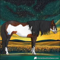Horse Color:Bay Frame