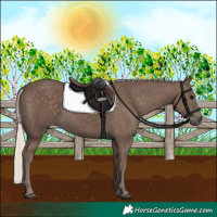 Horse Color:Silver Black