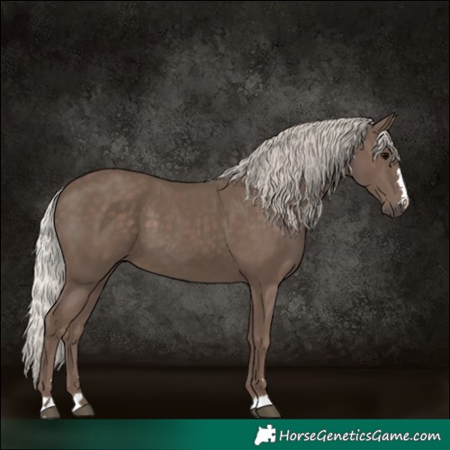 Horse Color:Silver Black