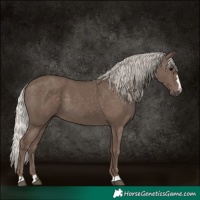 Horse Color:Silver Black 