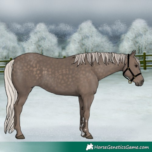 Horse Color:Silver Black 