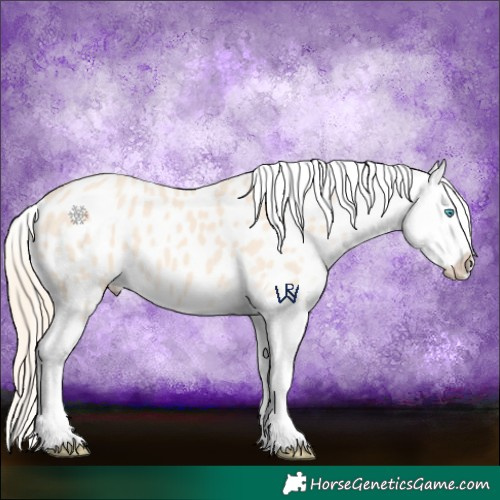 Horse Color:Perlino Splash Frame Appaloosa 