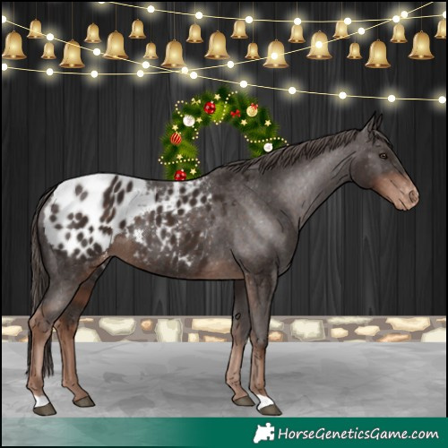 Horse Color:Liver Chestnut Blanket 