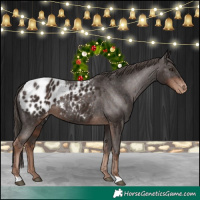 Horse Color:Liver Chestnut Blanket 