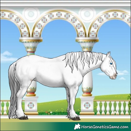 Horse Color:Black Frame 