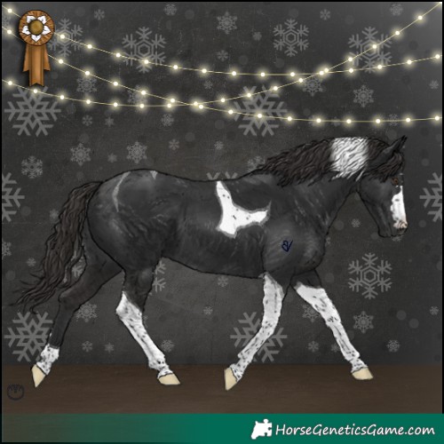 Horse Color:Liver Chestnut Tobiano 