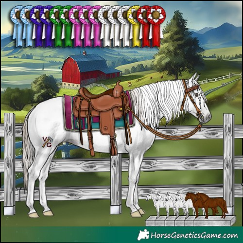Horse Color:Gray Liver Chestnut Tobiano 