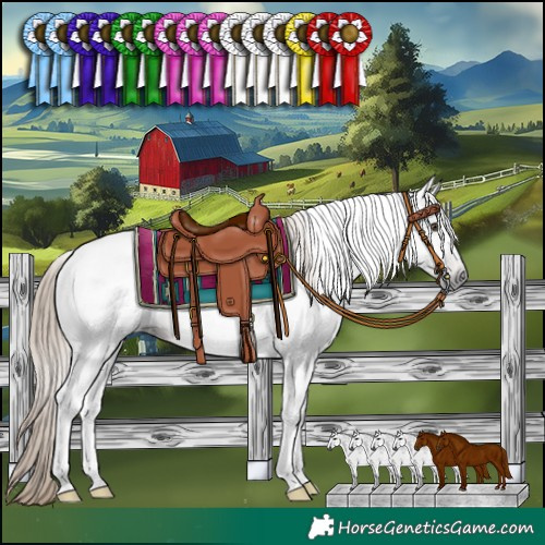 Horse Color:Gray Liver Chestnut Tobiano 