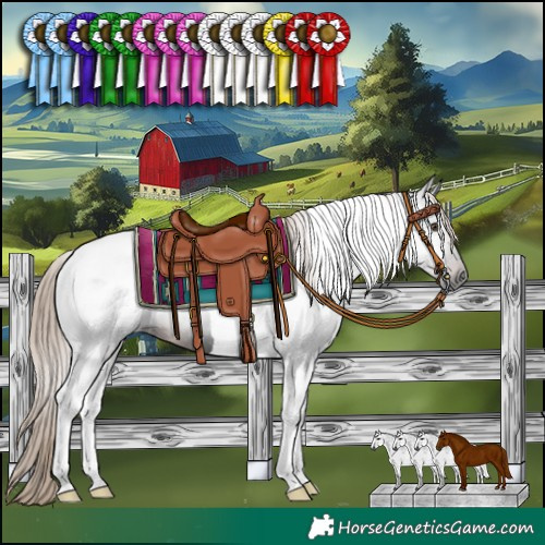 Horse Color:Gray Liver Chestnut Tobiano 