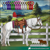 Horse Color:Gray Liver Chestnut Tobiano