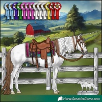 Horse Color:Gray Liver Chestnut Tobiano 