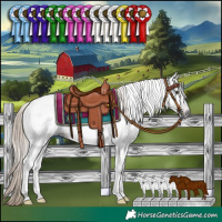 Horse Color:Gray Liver Chestnut Tobiano 