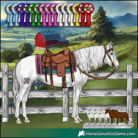 Horse Color:Gray Liver Chestnut Tobiano 