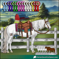 Horse Color:Gray Liver Chestnut Tobiano