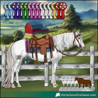 Horse Color:Gray Liver Chestnut Tobiano 