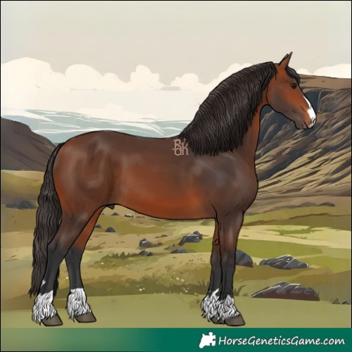 Horse Color:Bay 