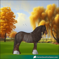 Horse Color:Liver Chestnut Rabicano 