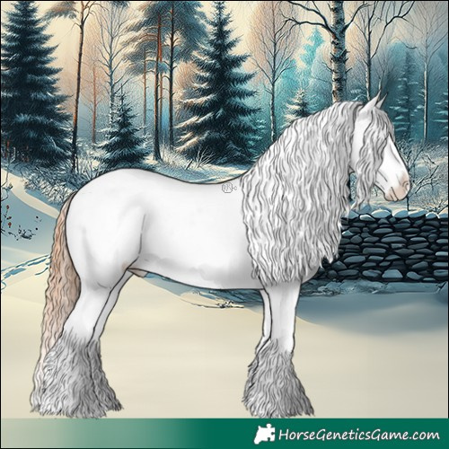 Horse Color:Chestnut Splash Appaloosa Rabicano