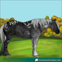 Horse Color:ERROR: UNKNOWN ANOMALY