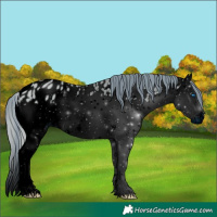 Horse Color:ERROR: UNKNOWN ANOMALY