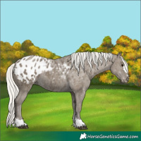 Horse Color:Silver Smoky Black Blanket
