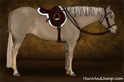 Horse Color:Chocolate Palomino 