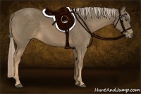 Horse Color:Chocolate Palomino 