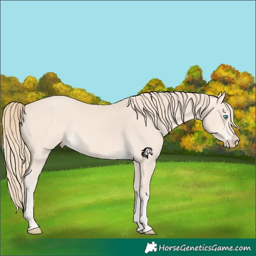 Horse Color:Perlino